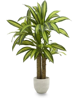 Maia Shop Drácena Artificial para Decoración de Hogar y Oficina, Árbol, Planta Artificial Decorativa Hiperrealista, Planta Tropical (120 cm) Foto de portada de Maia Shop Drácena Artificial para Decoración de Hogar y Oficina, Árbol, Planta Artificial Decorativa Hiperrealista, Planta Tropical (120 cm)